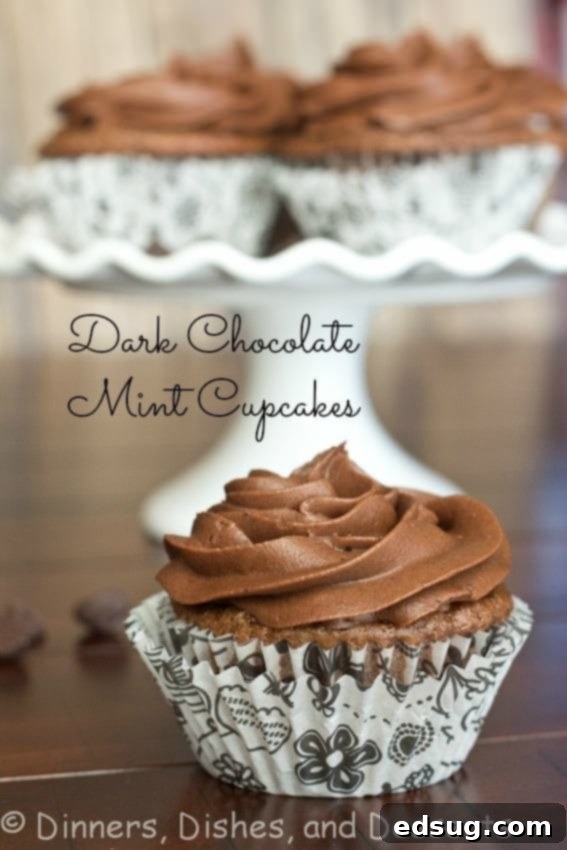 Rich dark chocolate mint cupcakes in wrappers, beautifully decorated.