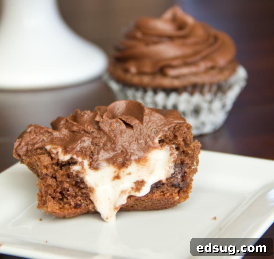 Close-up of frosted dark chocolate mint cupcakes, showing the rich texture.