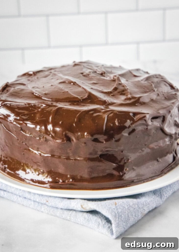 ding dong cake on a white plate