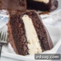 cropped close up ho ho cake