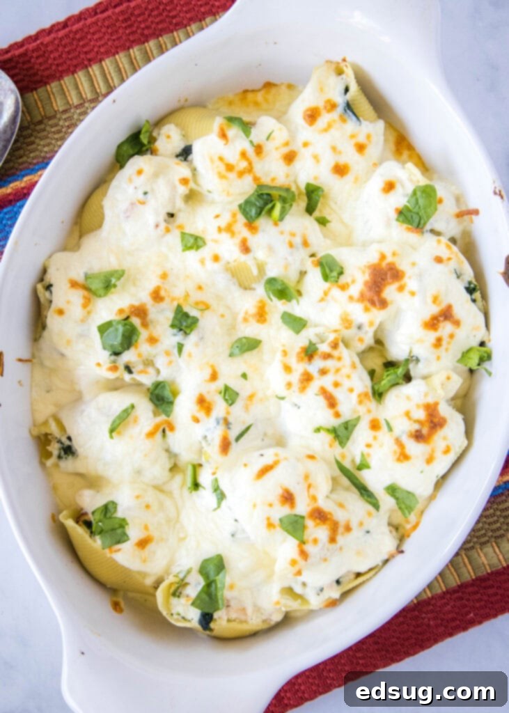 Creamy Chicken Stuffed Shells 2 Looking down on a bubbling dish of baked chicken stuffed shells fresh from the oven, topped with golden cheese