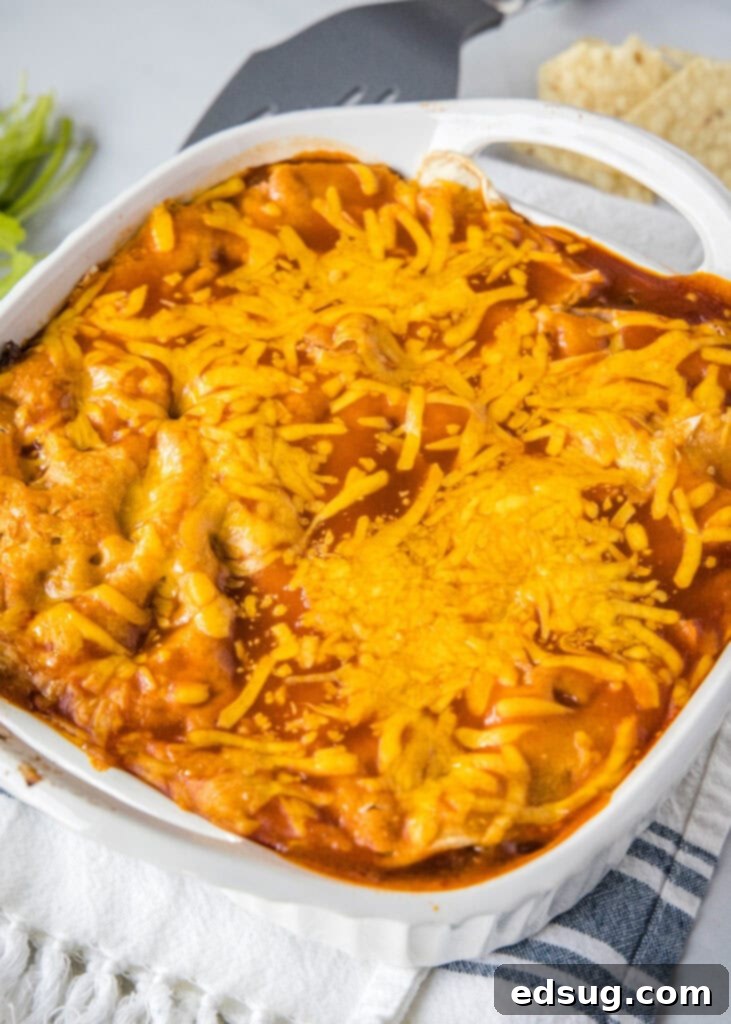 Cheesy Beef Enchilada Delight 4 enchilada casserole out of the oven before you add any toppings