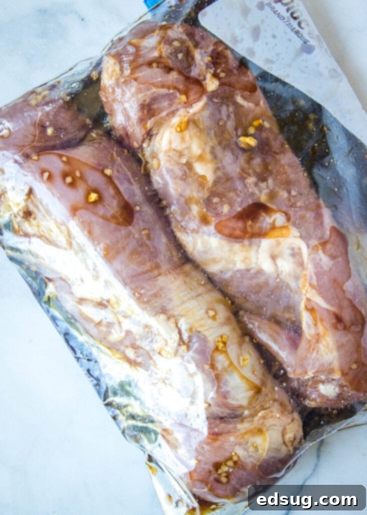 Slow-Smoked Pork Tenderloin 3 pork tenderloin in a plastic bag with marinade