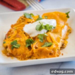 Savory Pork Enchiladas 10 close up pork enchiladas on a white plate