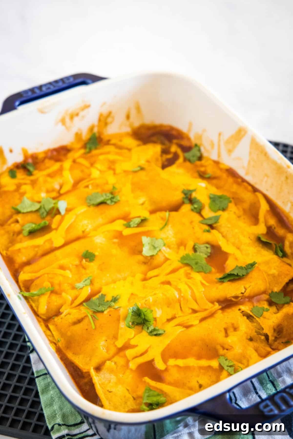 Savory Pork Enchiladas 3 pan with baked enchiladas in it