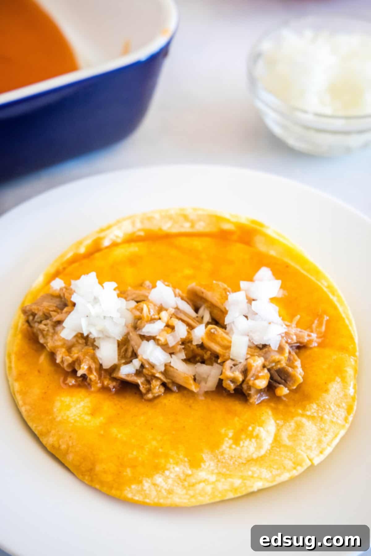 Savory Pork Enchiladas 5 pork and onions on a corn tortilla