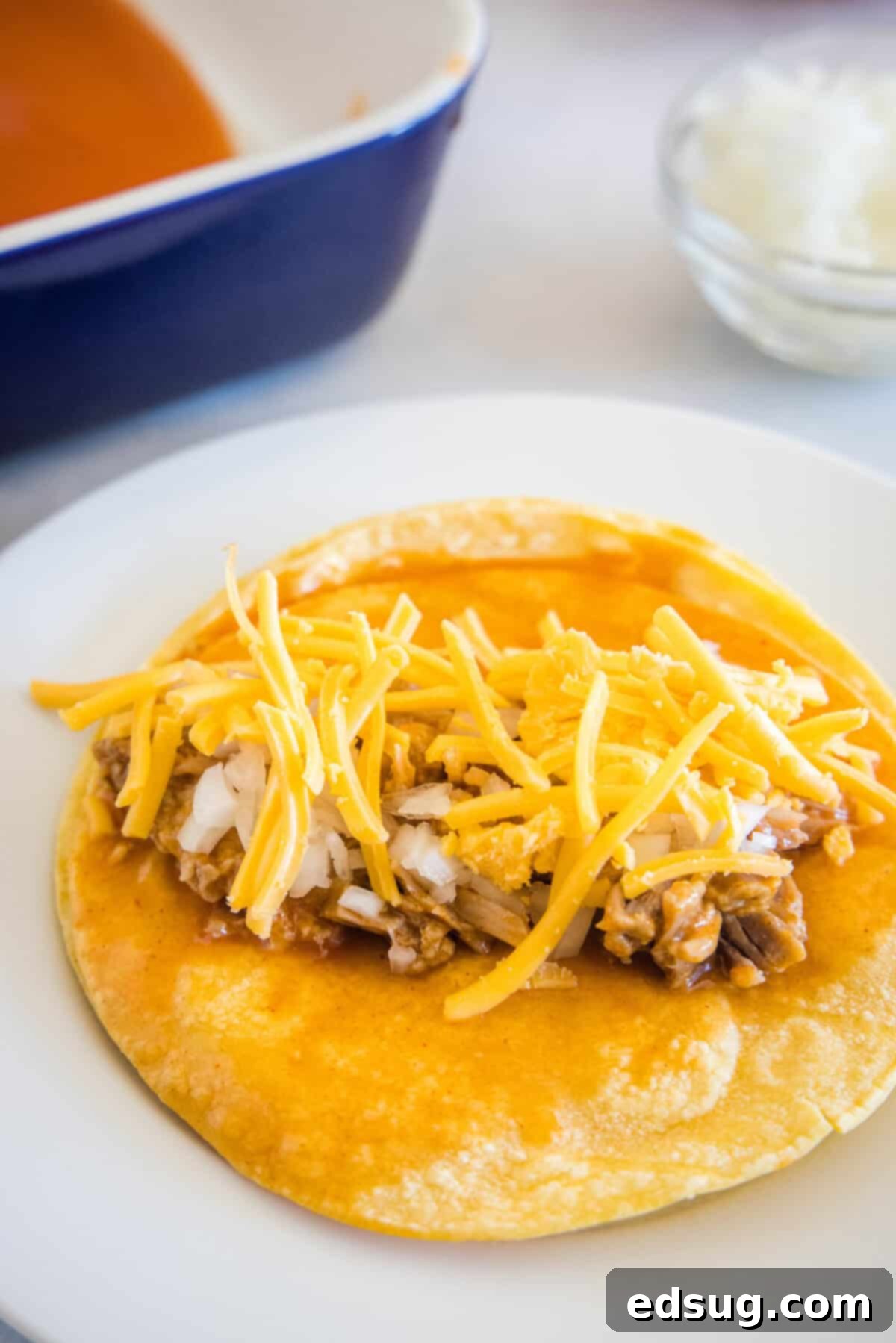 Savory Pork Enchiladas 6 cheese, onions and pork on a corn tortilla