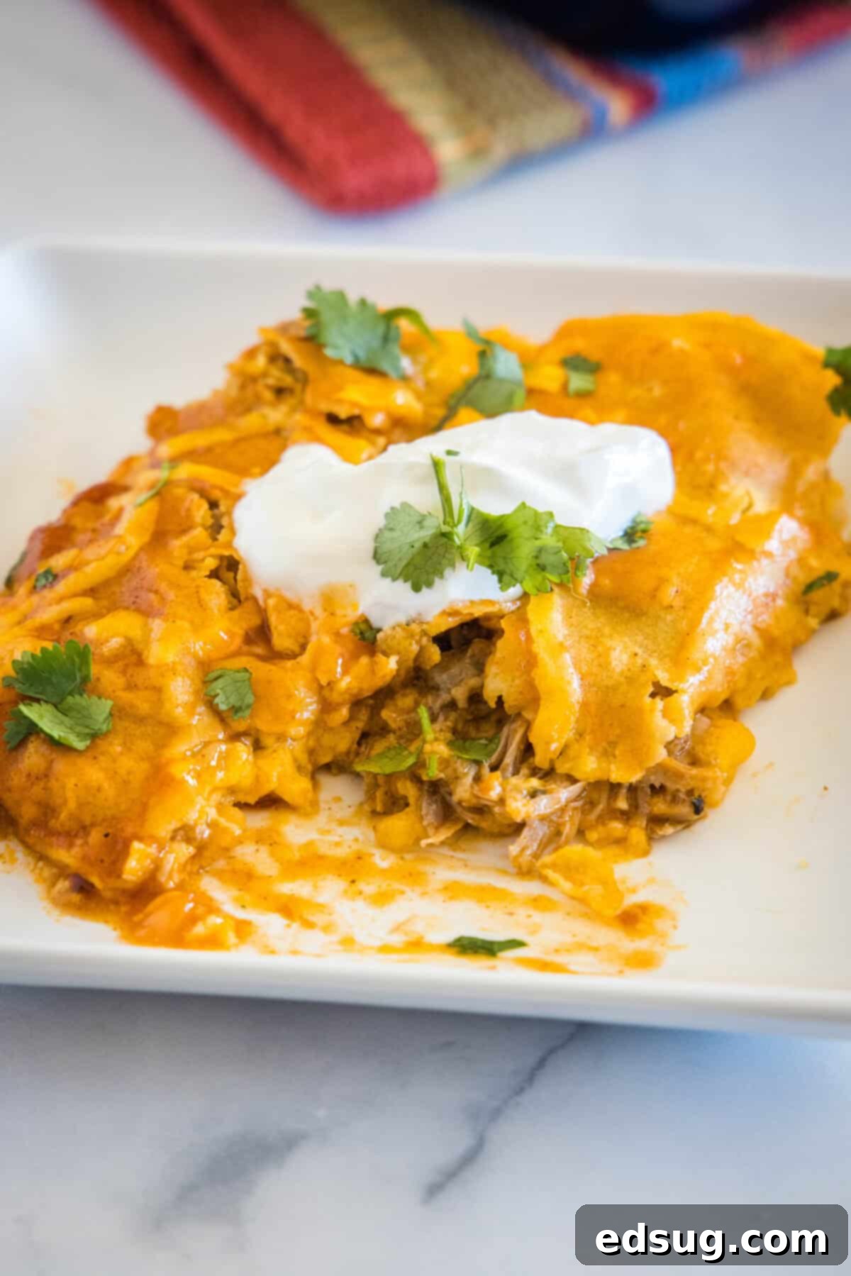 Savory Pork Enchiladas 9 enchiladas on a plate with one cut in half