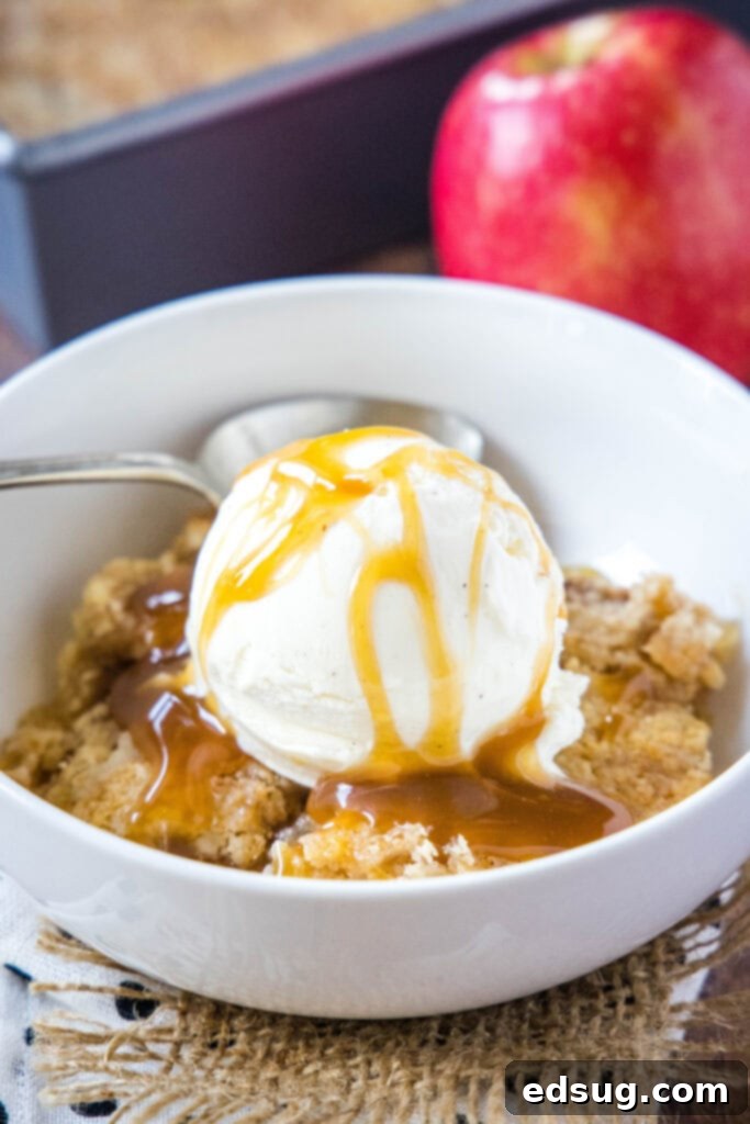 A delectable slice of warm Apple Dump Cake topped with melting vanilla ice cream and a caramel drizzle, served in a bowl.