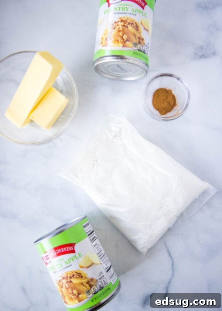 Ingredients laid out on a kitchen counter for making an Apple Dump Cake, including a box of cake mix, cans of apple pie filling, cinnamon, butter, and pecans.