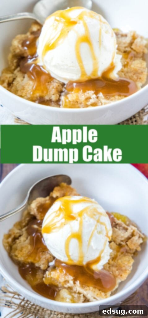 Close-up shot of a warm Apple Dump Cake, showcasing the golden-brown crust and bubbling apple filling, topped with a melting scoop of vanilla ice cream.