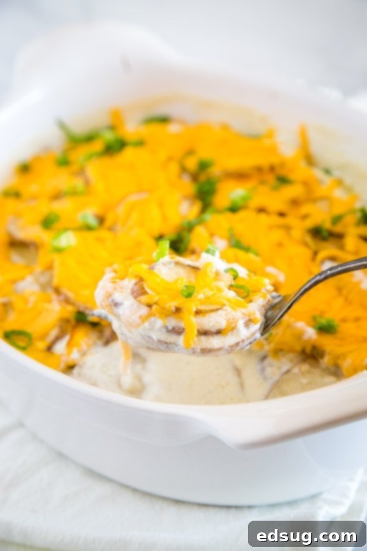 Ultimate Golden Potato Gratin 3 Nothing beats cheesy potatoes and these potatoes au gratin are the perfect side dish