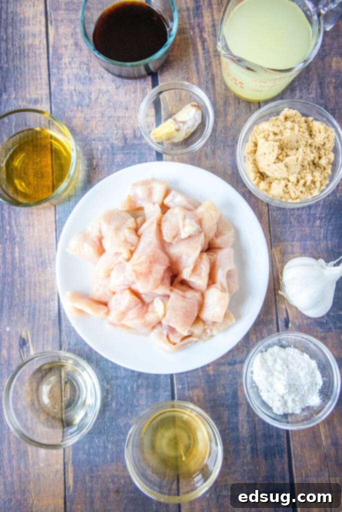 Close-up of fresh ingredients for Bourbon Chicken, including chicken, garlic, ginger, and various sauces