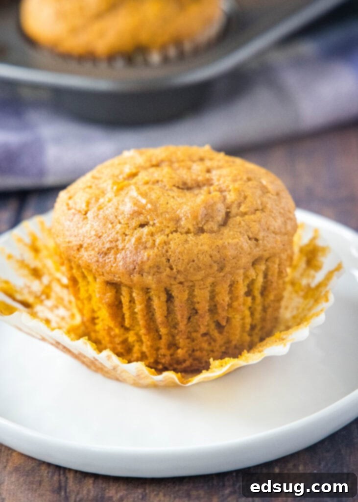 Pumpkin Cream Cheese Swirl Muffins 5 pumpkin cream cheese muffin with the paper liner off