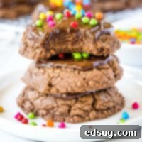 Stellar Brownie Cookies 8 close up stack of chocolate cookies with bite taken out of the top one