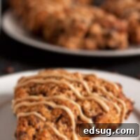 Mocha Chip Scones 1 espresso chocolate chip scones on a plate