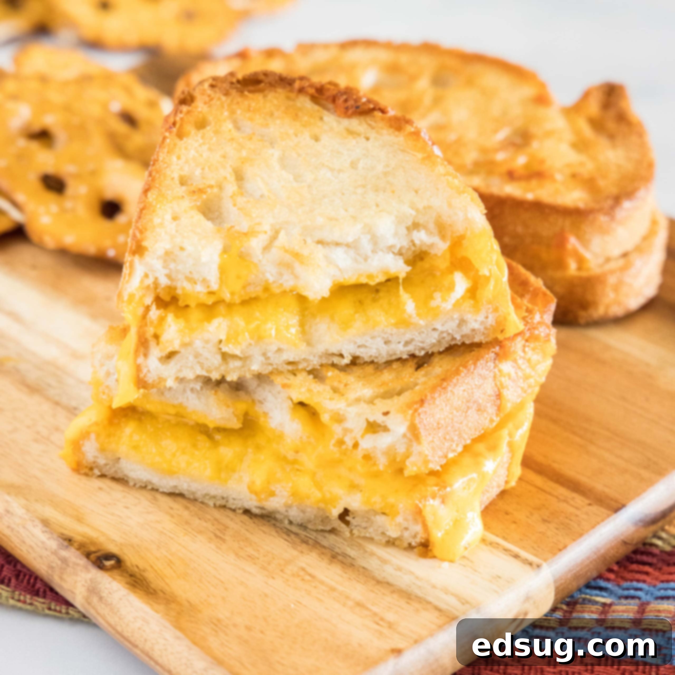 close up of grilled cheese sandwich cut in half