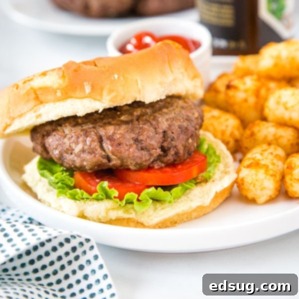 cropped photo of air fryer hamburger