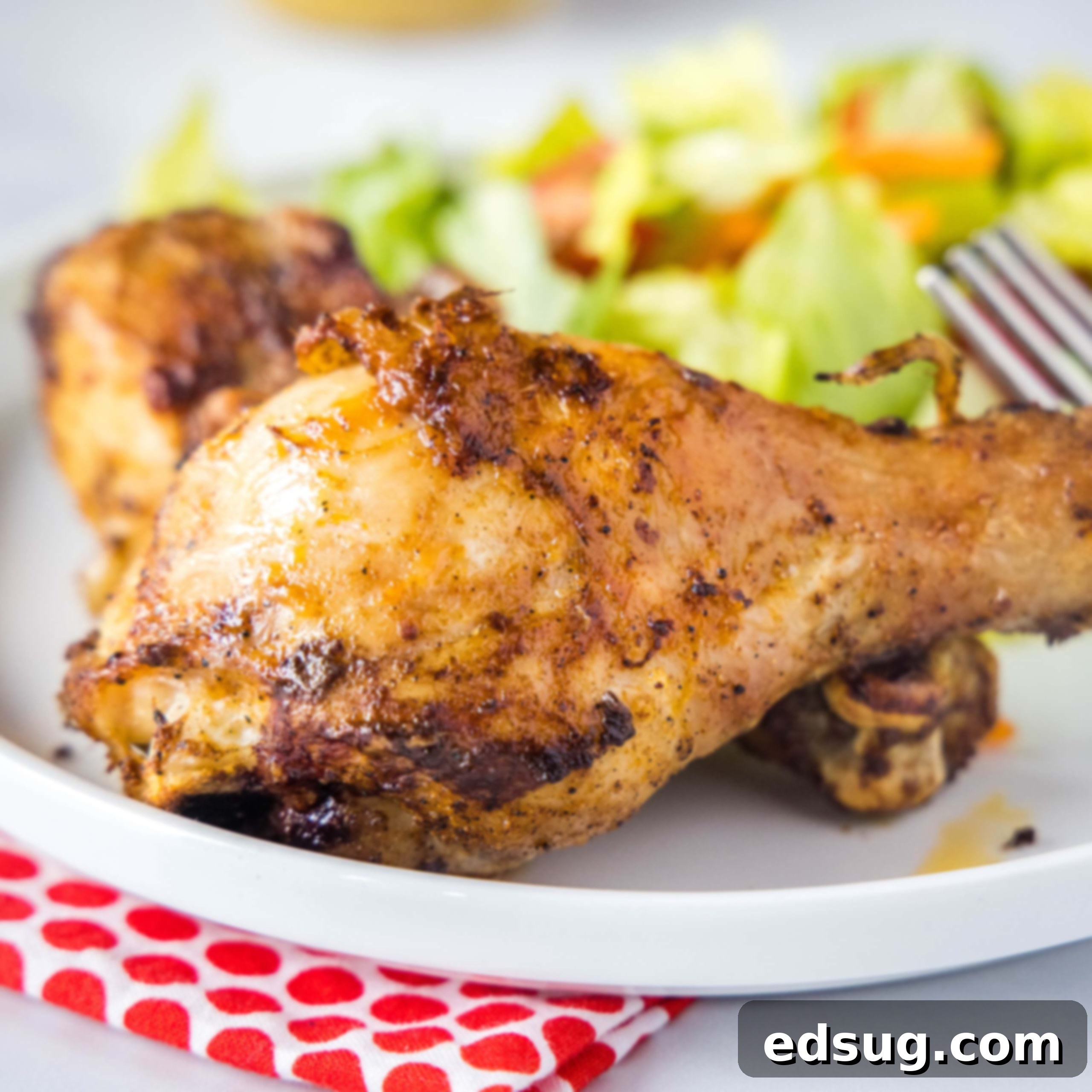 close up of chicken leg