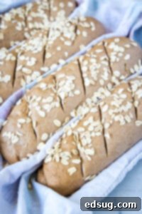 scored bread dough ready for the oven