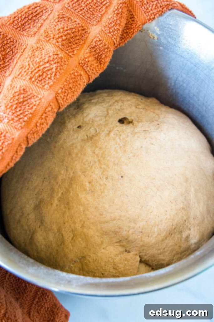 risen dough in mixing bowl