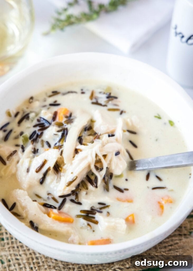 as spoon in a white bowl of turkey wild rice soup