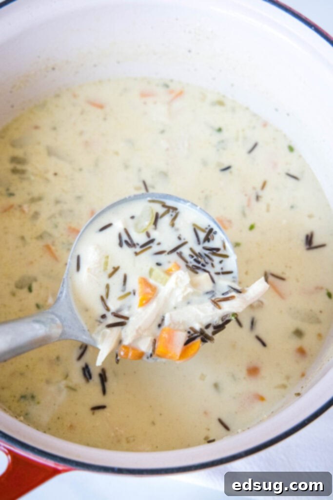 a ladle full of turkey wild rice soup
