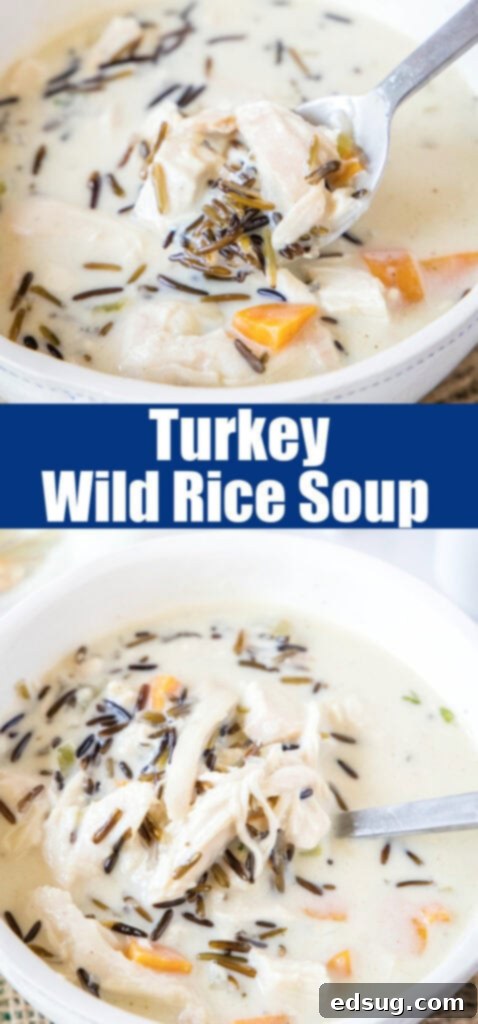 close up bowl of turkey wild rice soup with a spoon