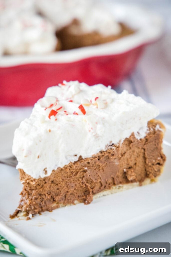 Decadent Peppermint French Silk Pie 2 A perfectly sliced Peppermint French Silk Pie on a white plate, topped with generous whipped cream and crushed candy canes, ready to be enjoyed.