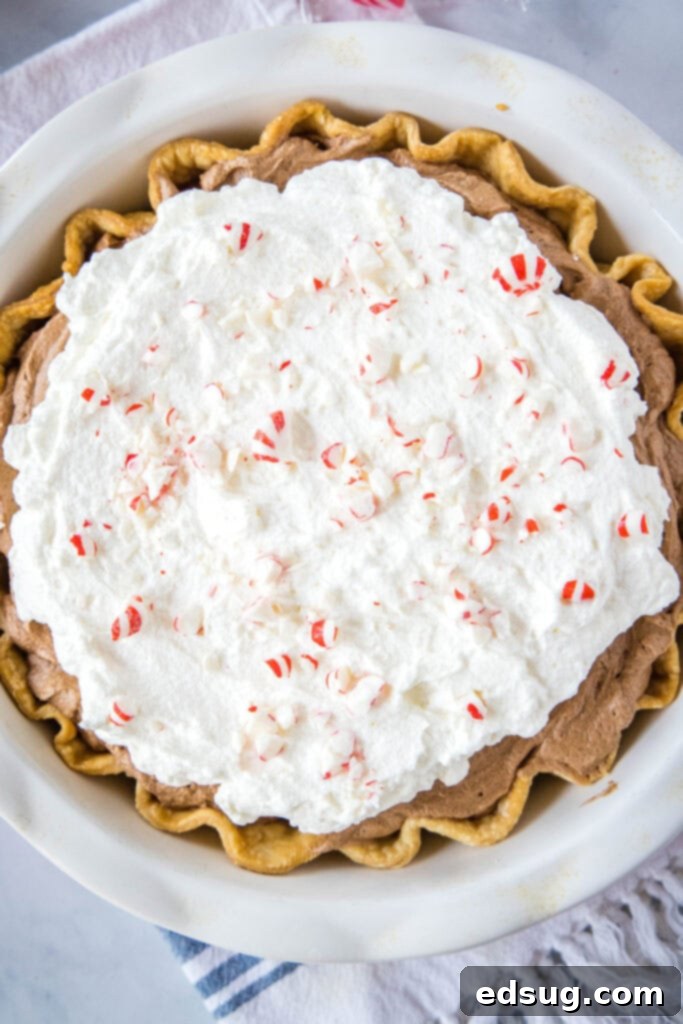 Decadent Peppermint French Silk Pie 5 A beautiful, fully assembled Peppermint French Silk Pie, topped with elegant swirls of whipped cream and generously sprinkled with crushed peppermint candies, resting in a classic glass pie plate.