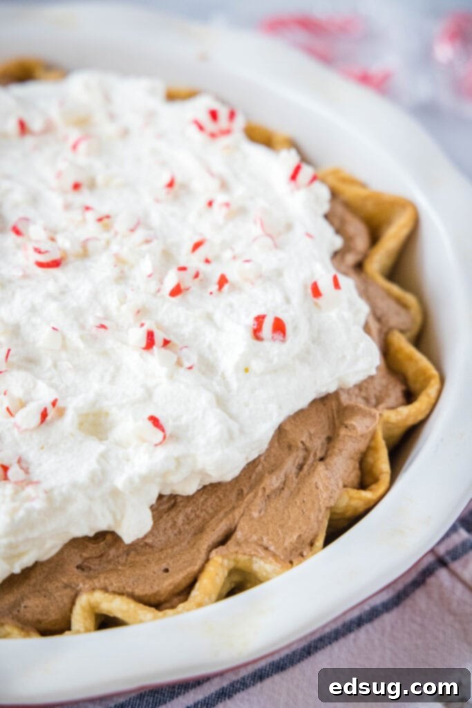 Decadent Peppermint French Silk Pie 7 A vibrant and festive Peppermint French Silk Pie, generously topped with whipped cream and eye-catching crushed candy canes, displayed beautifully in a glass pie plate.