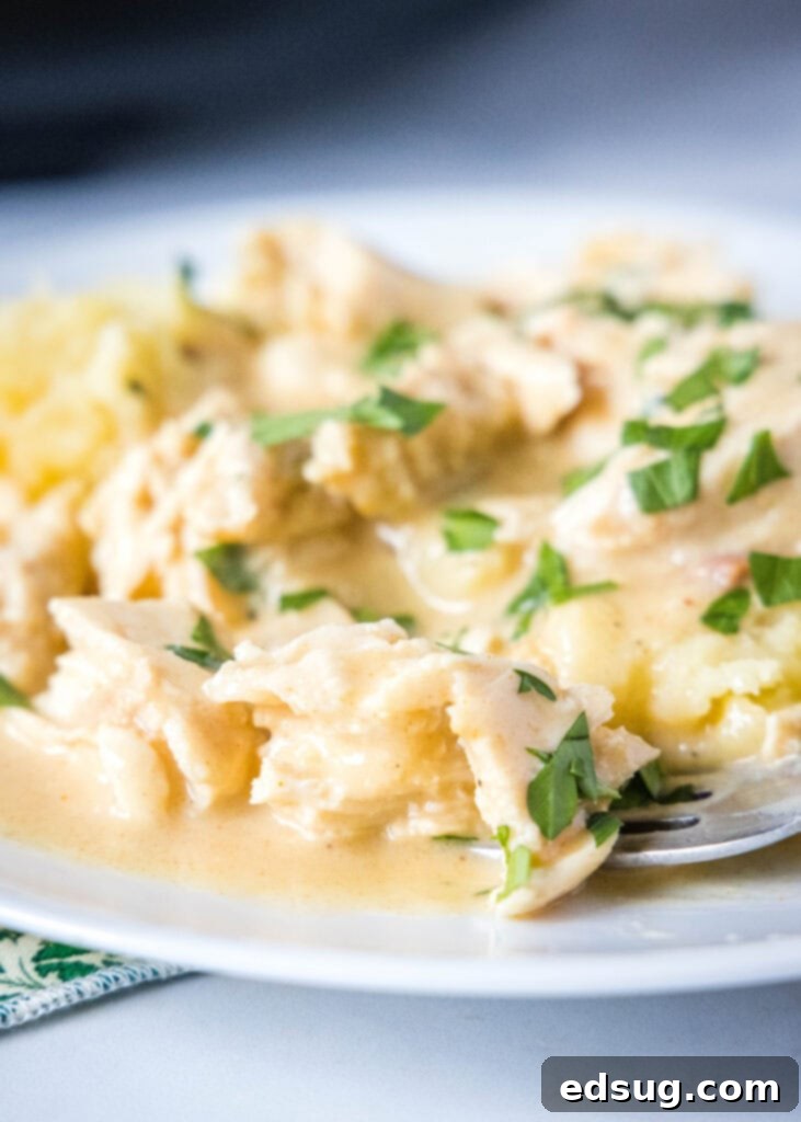a white plate with mashed potatoes and shredded chicken with gravy over the top