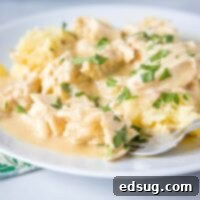 close up chicken over mashed potatoes on a white plate