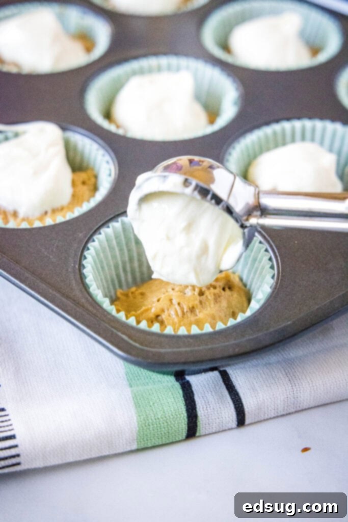 Gingerbread Cheesecake Swirl Muffins 4 putting cream cheese layer in gingrebread muffins