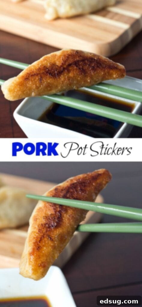 Crispy Shrimp and Pork Potstickers 2 pan fried shrimp and pork potstickers on a board close up