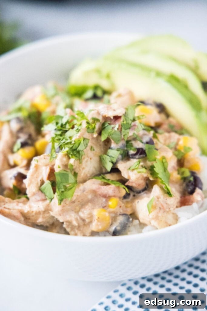 Slow Cooker Fiesta Chicken 2 White bowl of fluffy cilantro lime rice topped with creamy, shredded Crockpot Fiesta Chicken, garnished with fresh cilantro.