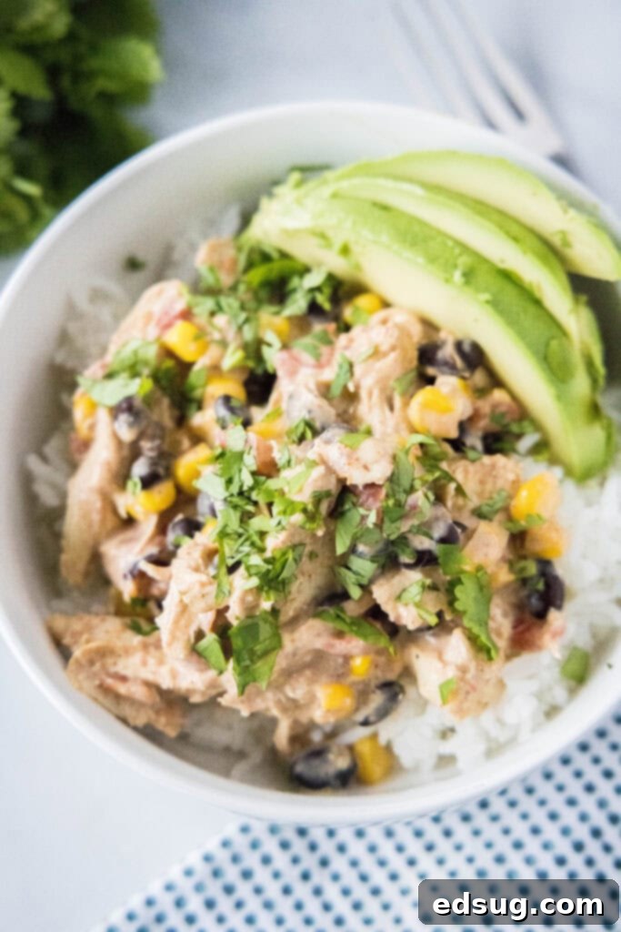 Slow Cooker Fiesta Chicken 5 Overhead shot of a bowl of creamy Crockpot Fiesta Chicken and rice, garnished with fresh cilantro.