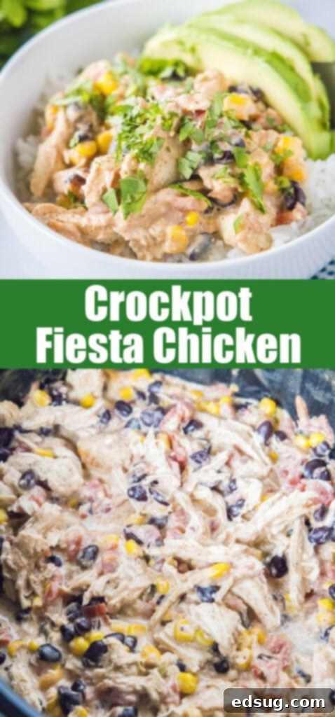 Slow Cooker Fiesta Chicken 6 Close-up of a serving of Crockpot Fiesta Chicken, perfect for pinning on Pinterest.