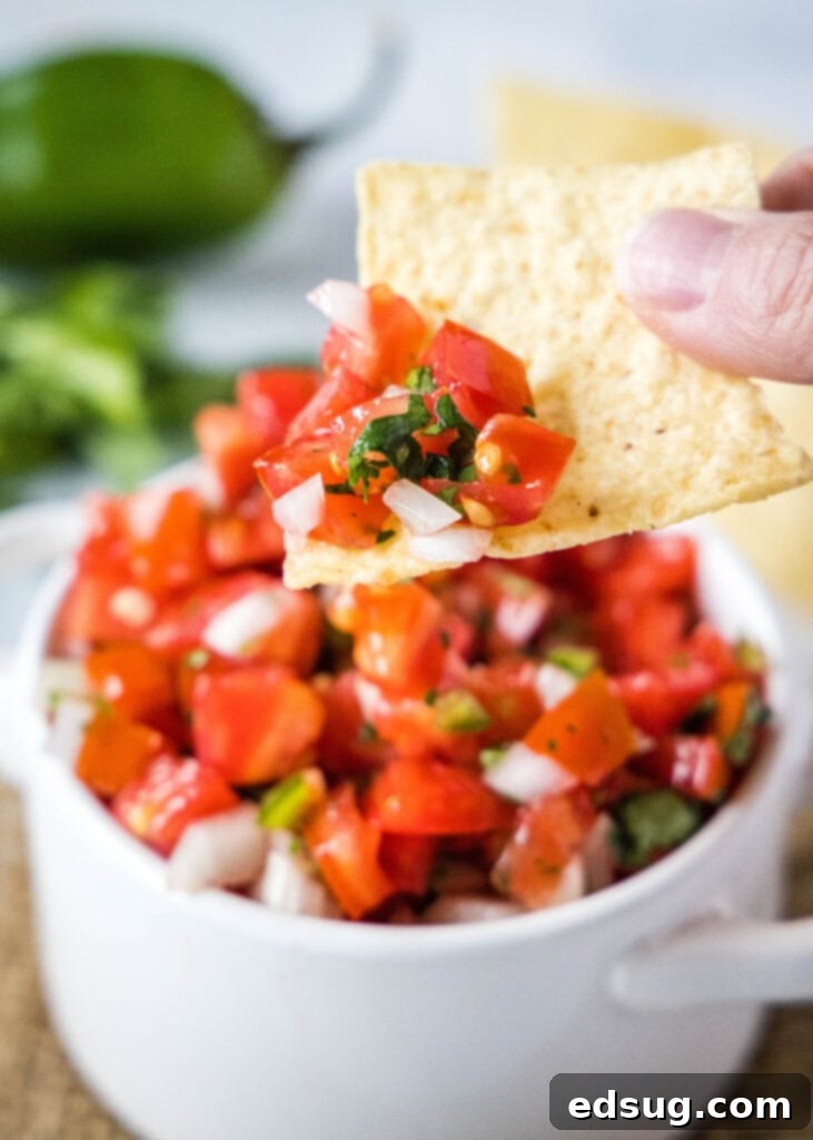Classic Fresh Salsa 2 scooping pico de gallo onto tortilla chip