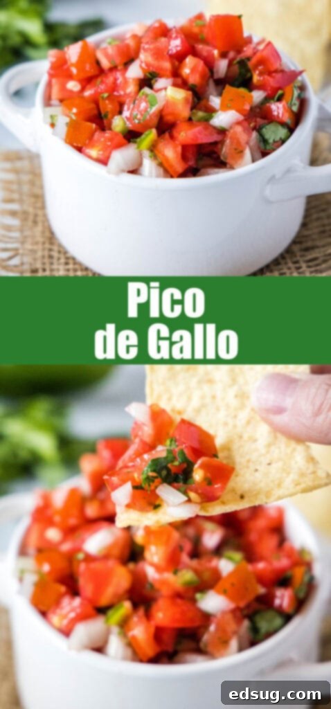Classic Fresh Salsa 6 closeup of pico de gallo for pinterest