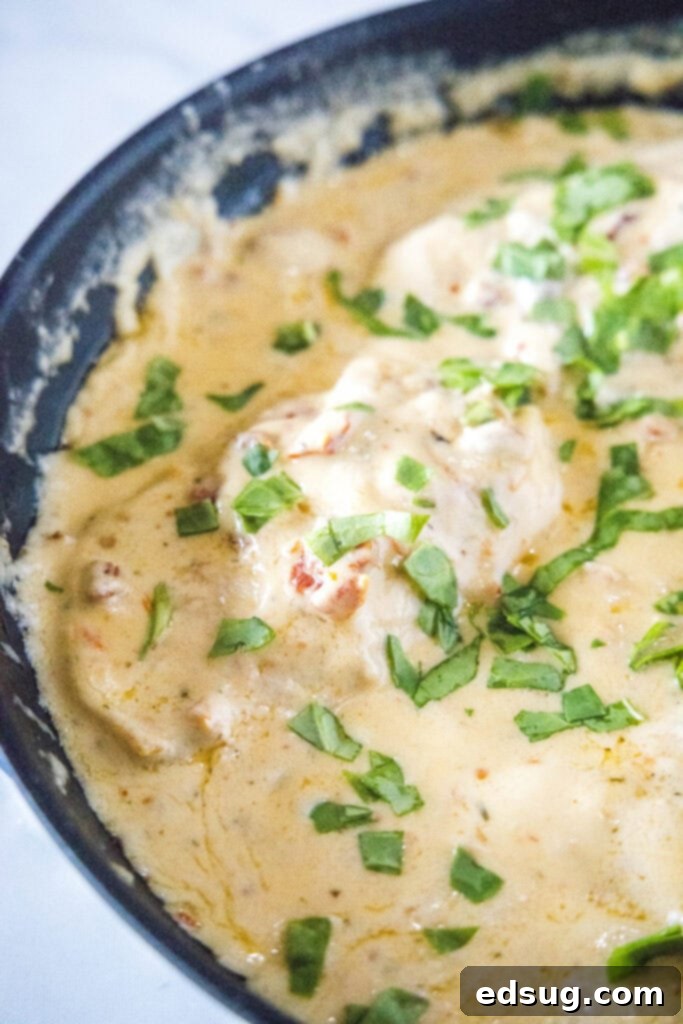 skillet with chicken in a sun dried tomato cream sauce
