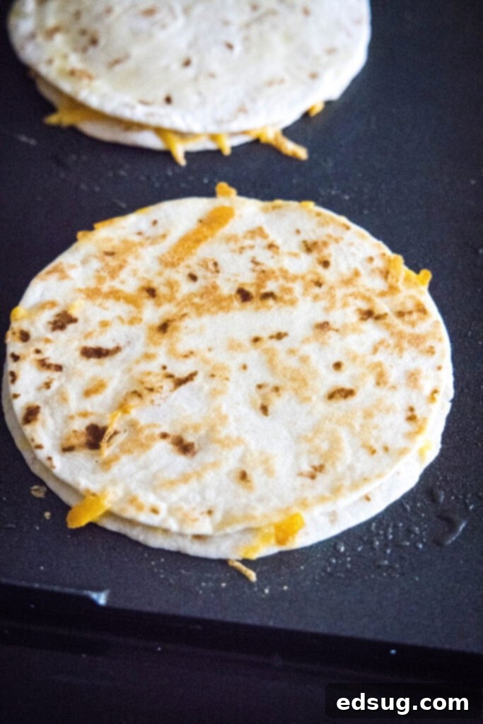 Melty Cheese Quesadilla 5 A cheese quesadilla sizzling on a hot griddle, achieving a perfect golden crisp.