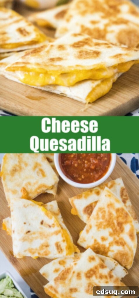 Melty Cheese Quesadilla 7 Close-up of a perfectly cooked, golden-brown cheese quesadilla with melted cheese oozing out, ideal for Pinterest.