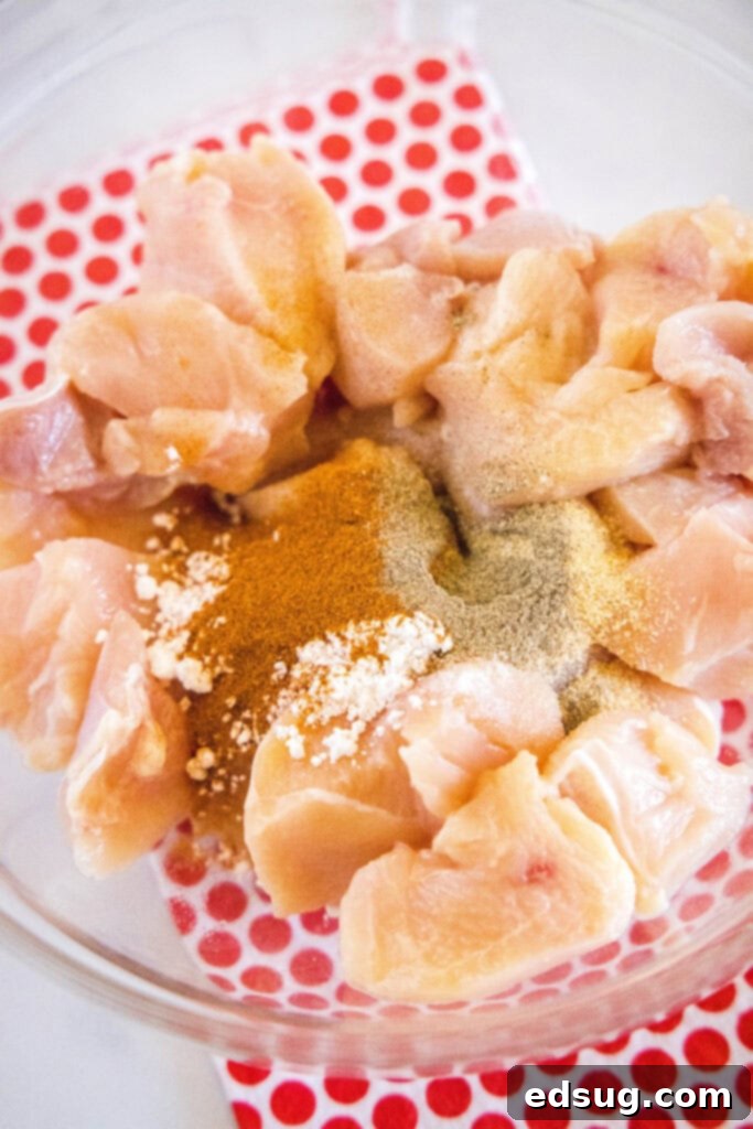 Signature Grilled Chicken Bites 4 Chicken pieces in a bowl, evenly coated with a seasoning blend