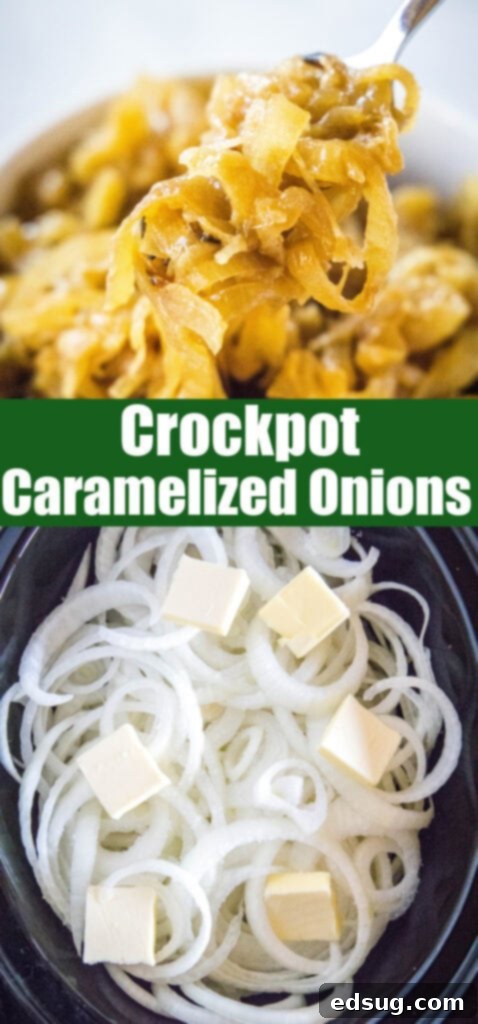 Slow Cooked Onion Perfection 7 Close-up of perfectly caramelized onions, showcasing their rich texture and golden color.