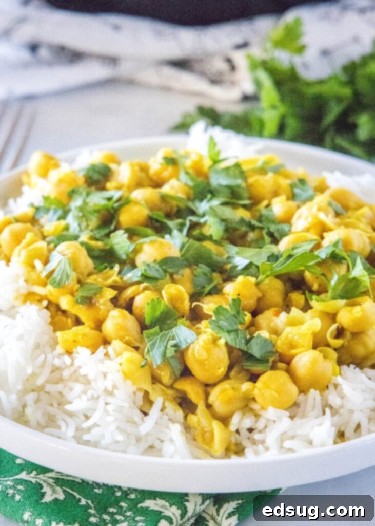 Golden Chickpea Delight 2 Flavorful chickpea curry served over fluffy white rice on a clean white plate