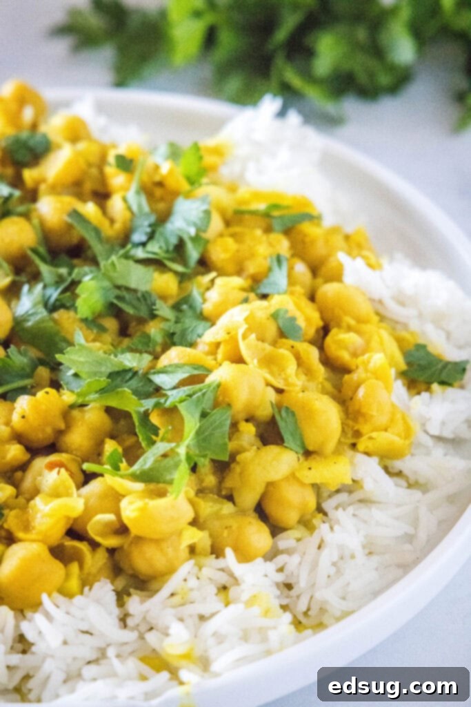 Golden Chickpea Delight 5 A bowl of chickpea curry with white rice and fresh cilantro garnish