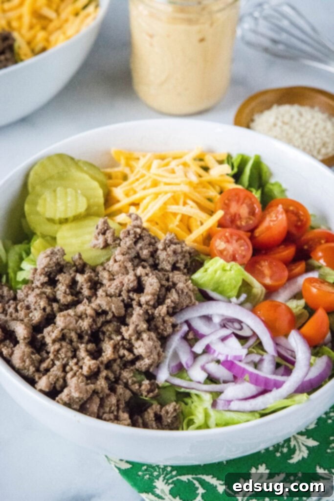 Big Mac Style Salad 6 A beautifully composed bowl with Big Mac Salad, featuring beef, pickles, onion, cheese, and tomatoes.