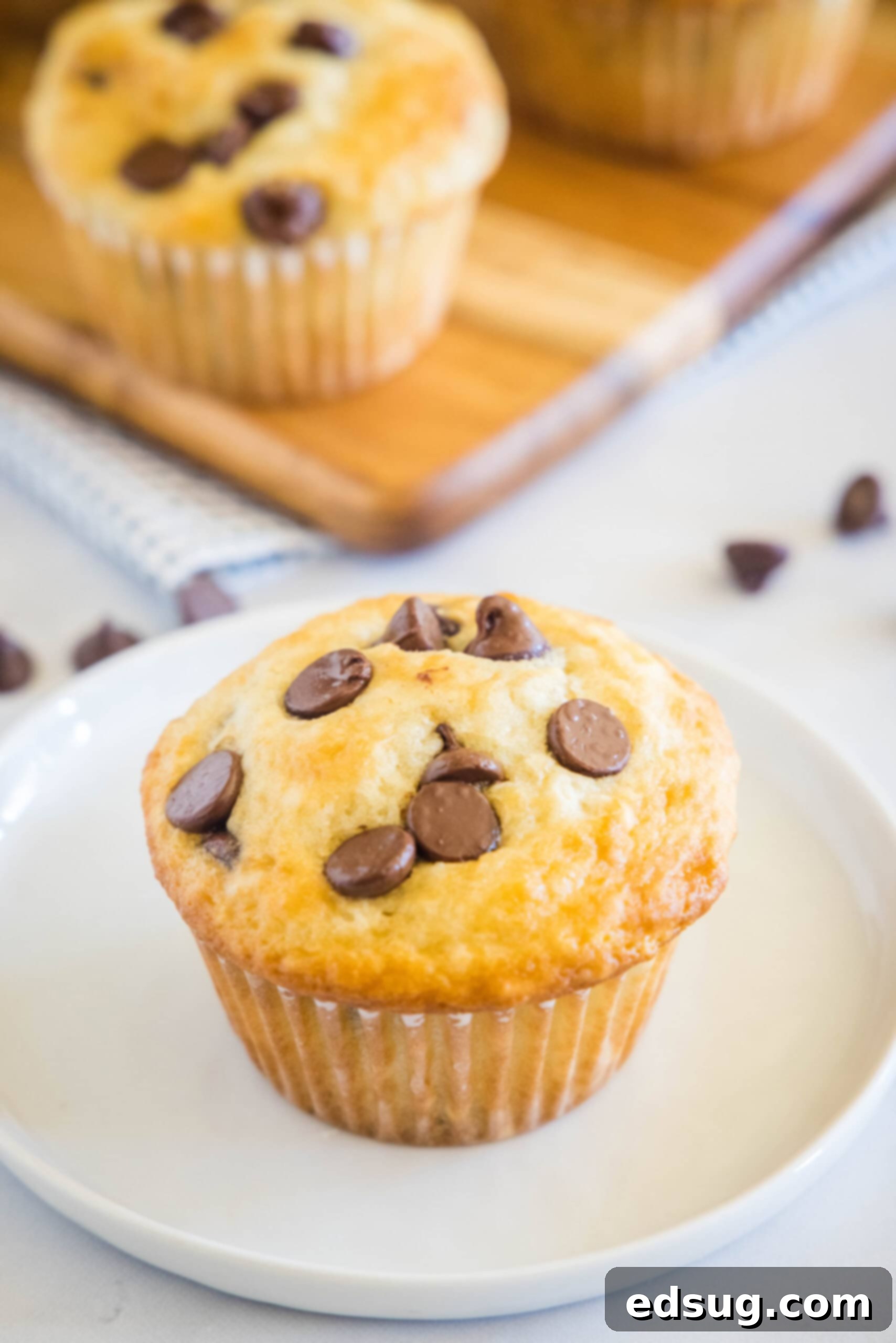 A perfectly baked chocolate chip buttermilk muffin on a white plate, with a basket of more muffins in the blurred background.