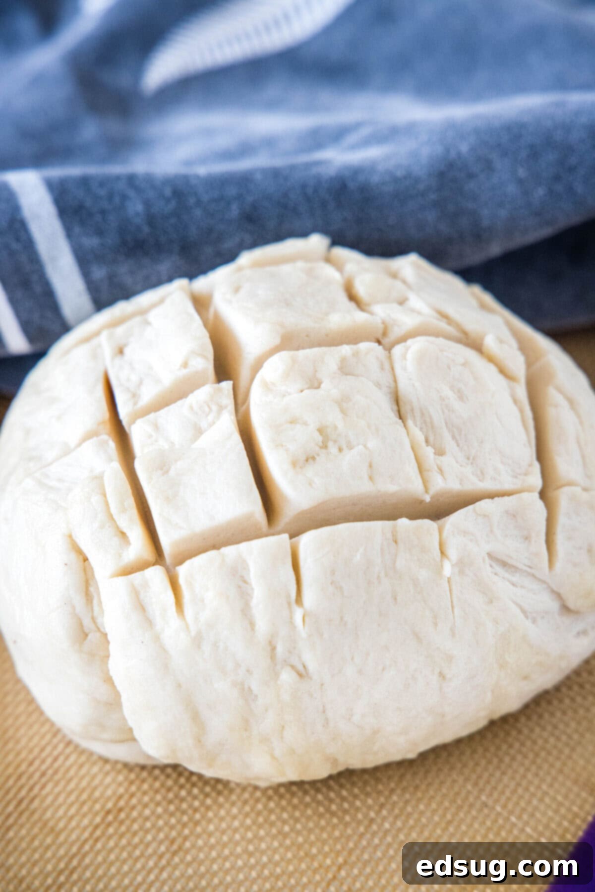 A scored bread dough ball on a countertop, ready for its second rise.